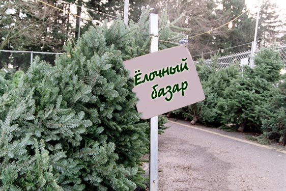 Криминалитет Днепра по-своему готовится к новому году: неизвестные избили охранника и забрали 50 елок