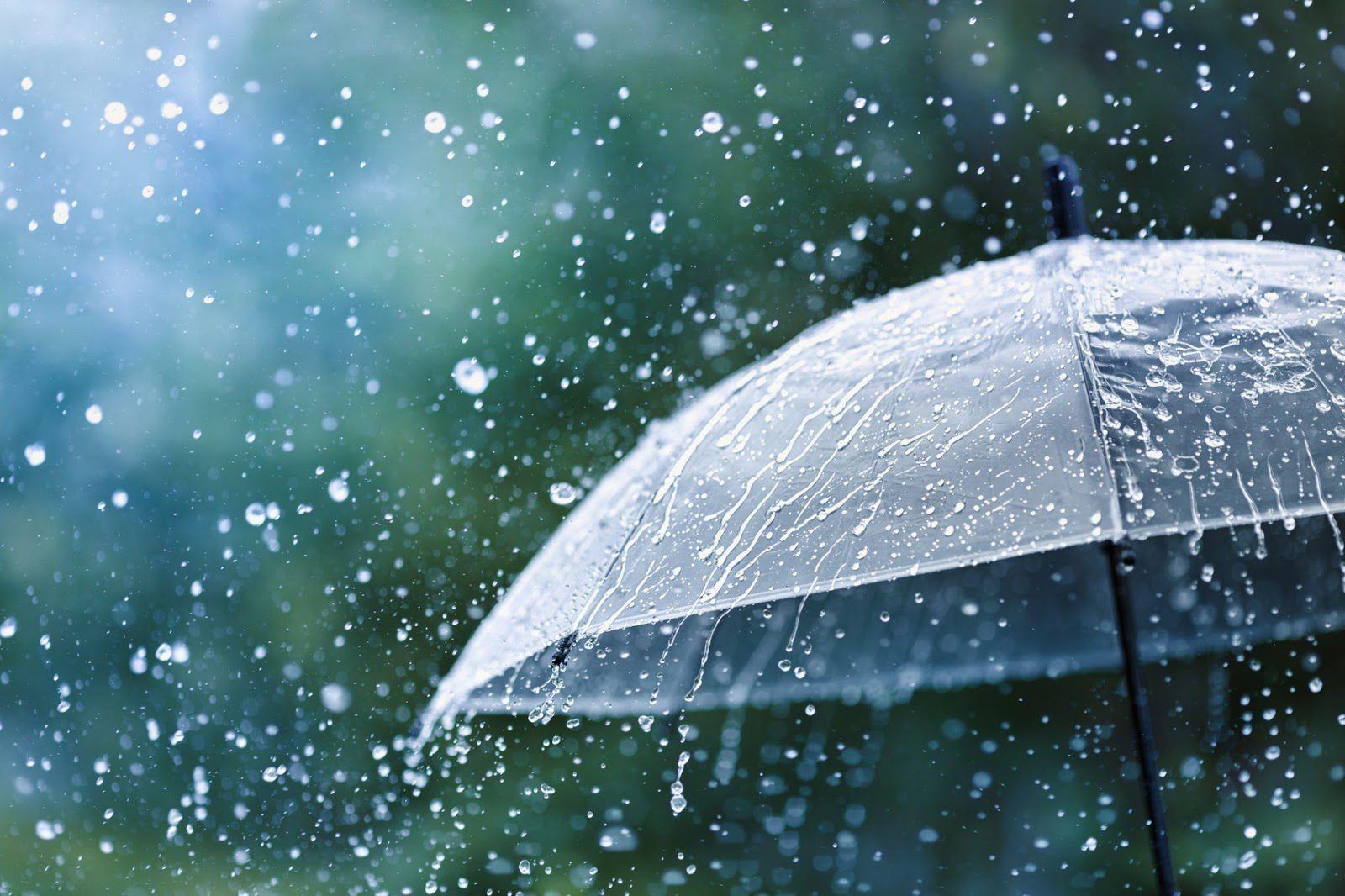 Жара и проливные дожди: какой будет погода в первую декаду июля