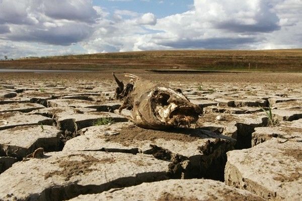 ОРДЛО на грани масштабной экологической катастрофы: "Это только начало бед"