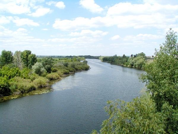 В Ставрополье трое девочек пошли купаться и пропали - тело 13-летней Камиллы Г. не могут найти третий день подряд