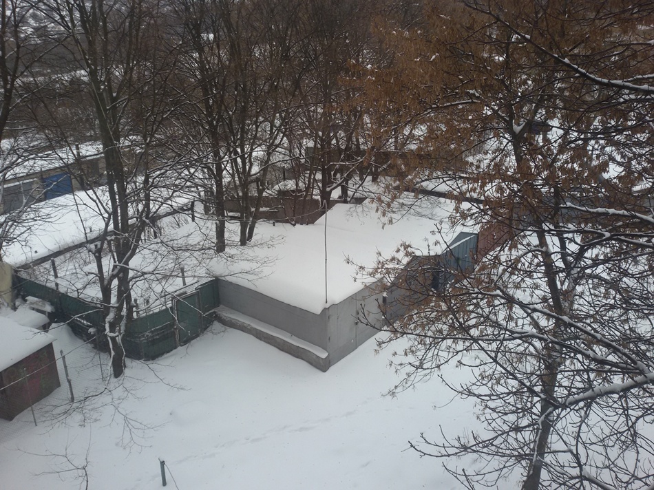 Днепропетровск в снегу: обильный снегопад блокировал город