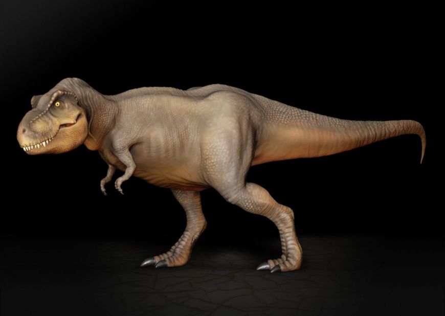 ​Сиамраптор – новый вид хищного динозавра, найденного палеонтологами на юге Азии