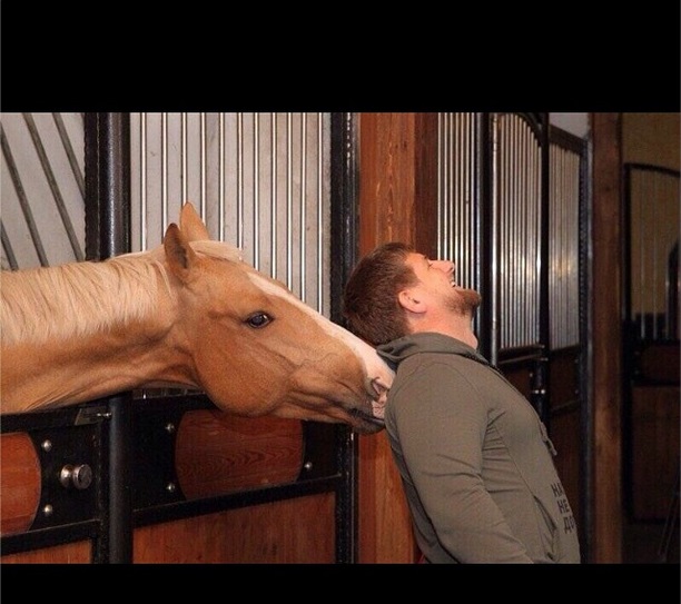 Германия отменила санкции против лошадей Кадырова