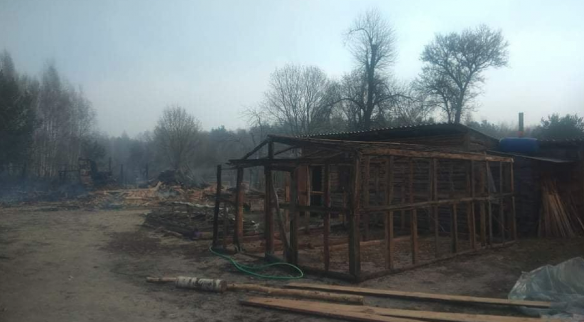 Мощный пожар в Житомирской области перекинулся на села: cитуация очень сложная, людей эвакуируют