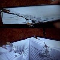 Книга Гете спасла бойца АТО