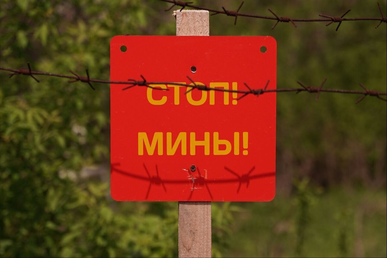 Под Белгородом на мине ВС РФ подорвался замглавы района, состояние критическое
