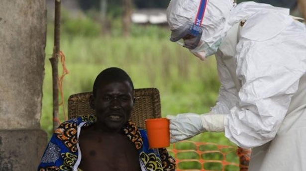  Французские ученые разрабатывают экспресс-тест вируса Эбола