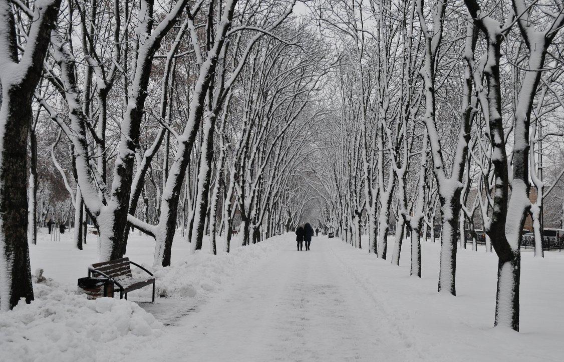 Когда готовиться к морозам до -18, и какие области Украины ждет потепление: озвучен точный прогноз погоды