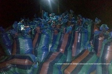 Пограничники Одесской области задержали контрабанду спирта