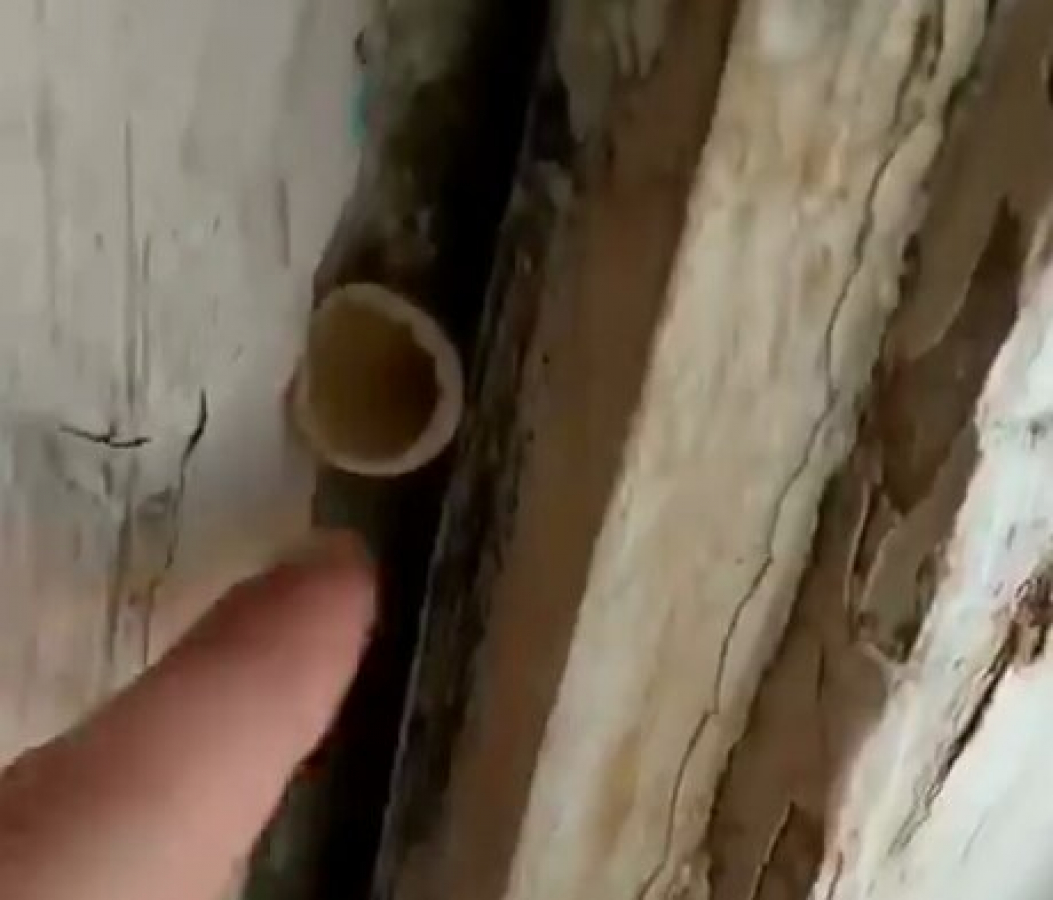 Школьники Донецка показали ужасающее состояние школы в оккупации: из стен растут грибы