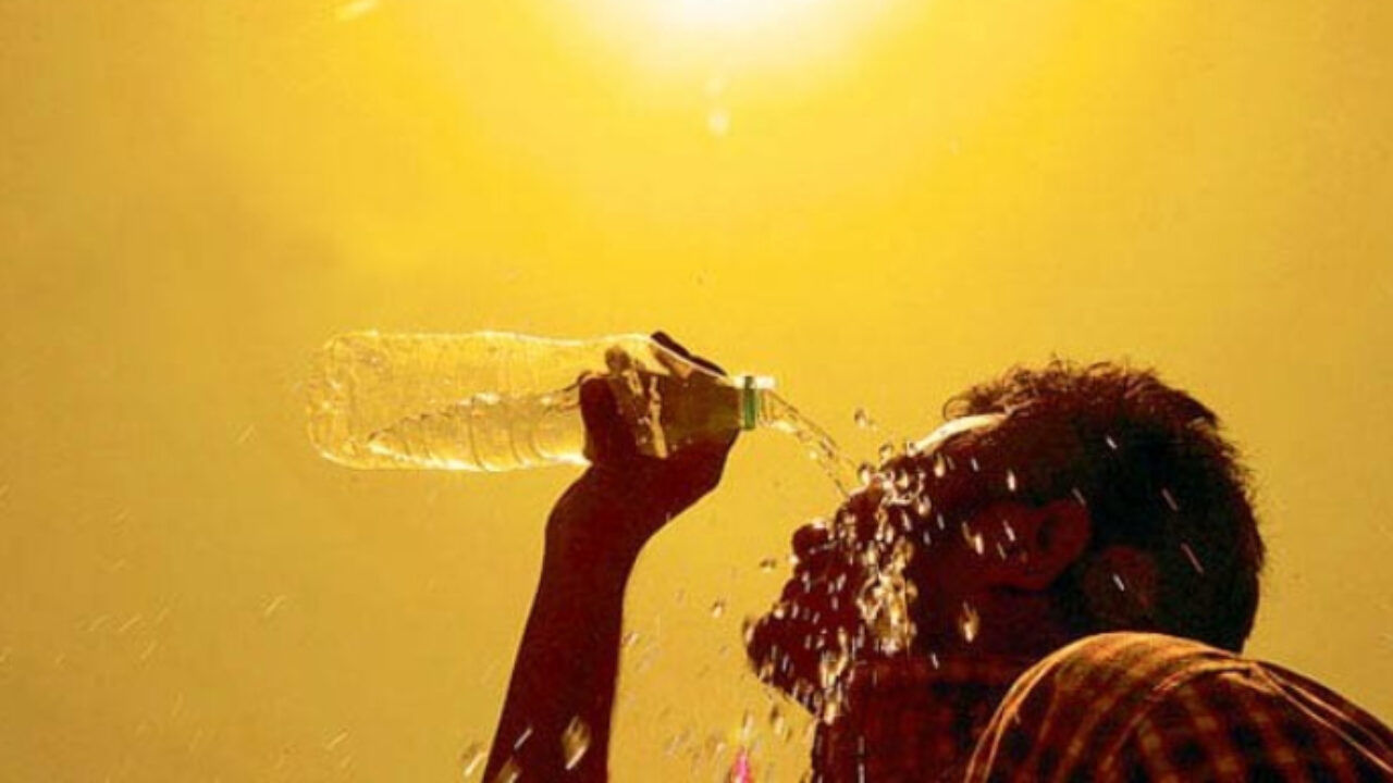 В Украину идет африканская жара: синоптики назвали области, где температура подскочит до +36 градусов