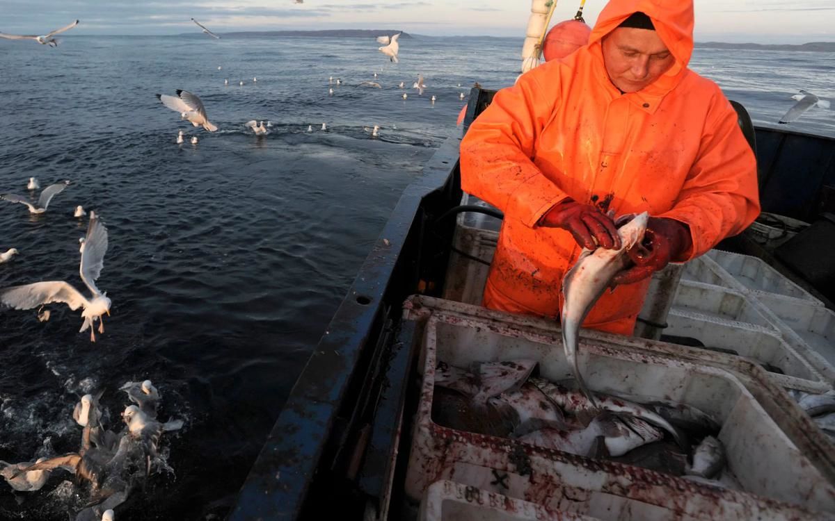 ​РФ может остаться без рыбы: российские рыбаки жалуют на ЕС