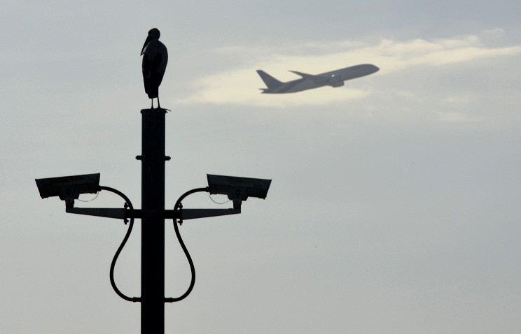 Ученые Голландии изобрели роботов, которые будут защищать аэропорты от птиц