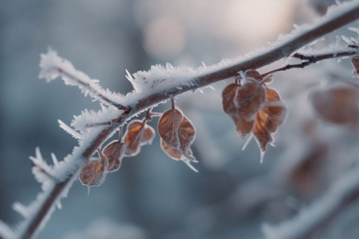 ​В Украину идут сильные морозы: когда и где ждать похолодания