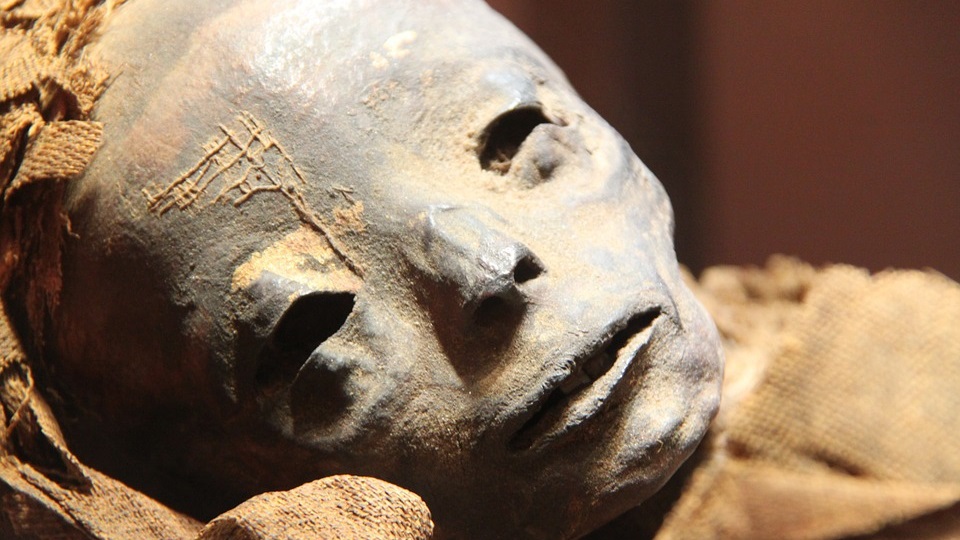 В Египте совершили историческое открытие: археологи раскопали мумию служителя бога Амона
