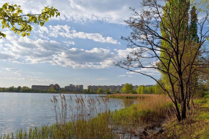 На берегу столичного озера Кирилловского второй день подряд находят трупы: опубликованы кадры с места жутких находок