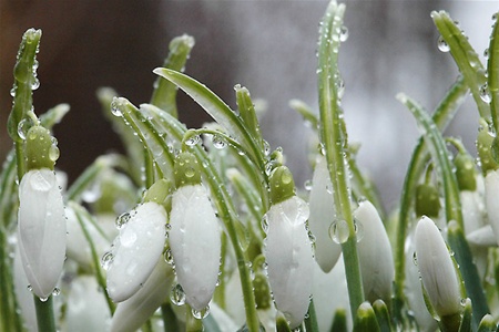 Прогноз погоды от Кульбиды: весна придет в Украину не раньше второй половины апреля