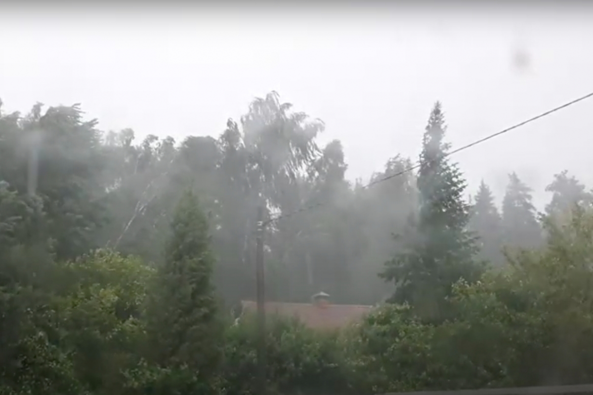 ​Ураган в Подмосковье: мощный ветер повалил сотни деревьев и сдул торговую палатку, видео