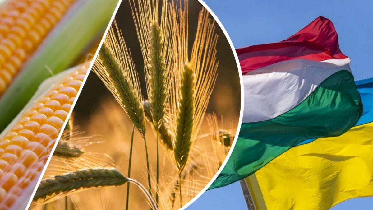 Вдарити по зернових з України: Угорщина знову робить недружні кроки