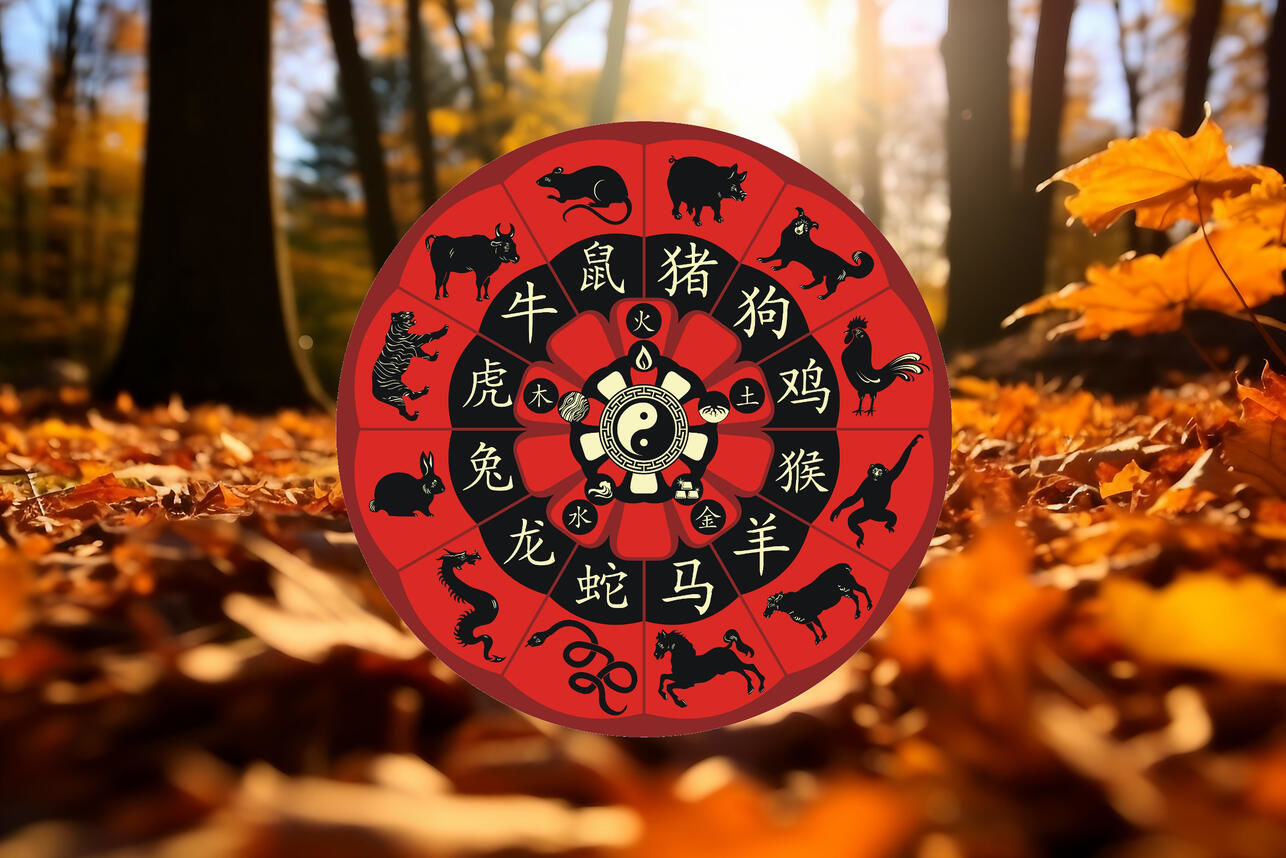 Китайский гороскоп на 27 октября: Тиграм не стоит упрямиться, а Кролику пора встретиться с друзьями