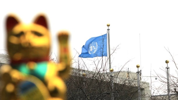 "Армия котов" митинговала в Нью-Йорке под стенами ООН