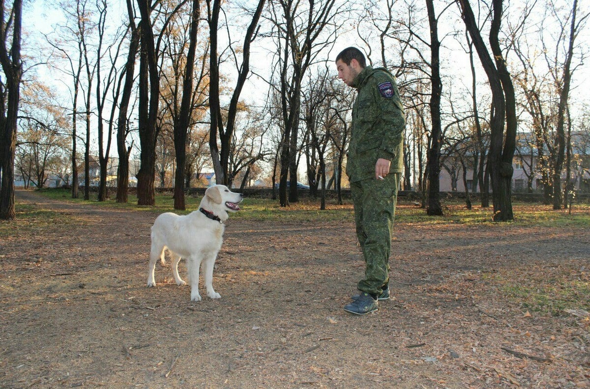 ​Поклонник "Новороссии" из Донецка ликвидирован бойцами ООС: террористы в трауре по Асэту