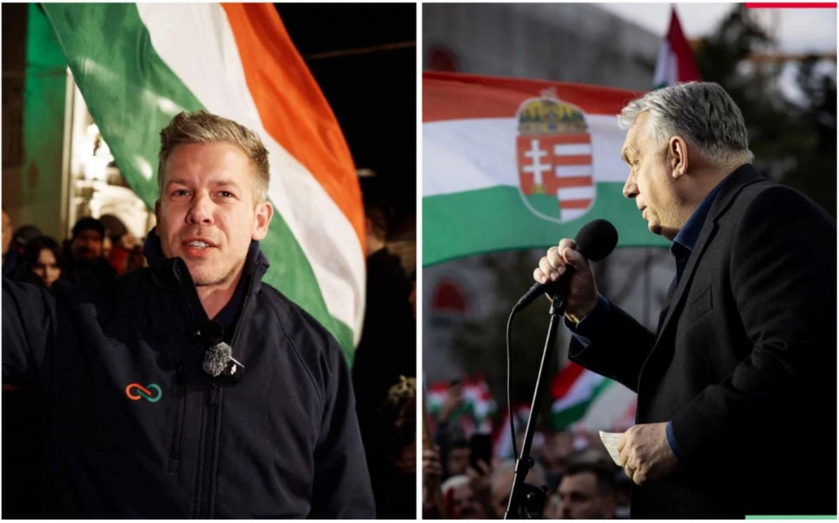 Социологи показали новые проценты партий Мадьяра и Орбана за считаные дни до выборов