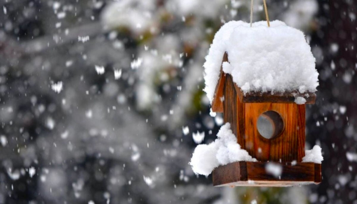 Зима не отступит, но есть хорошие новости – какую погоду ждать в ближайшие дни