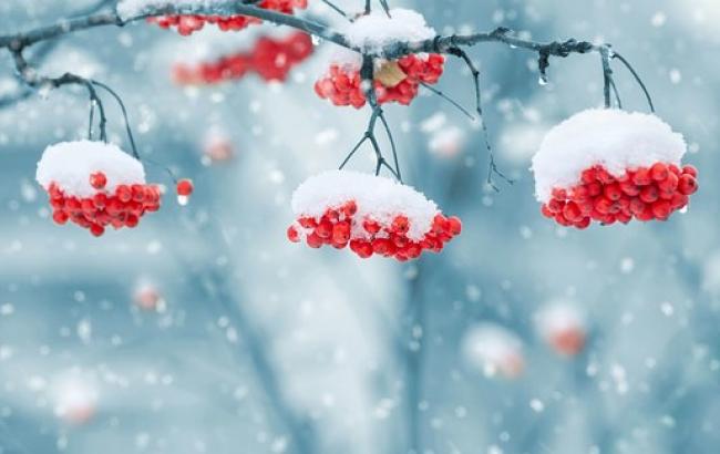 Зима останется в воспоминаниях: ученые сделали неутешительный климатический прогноз Украине