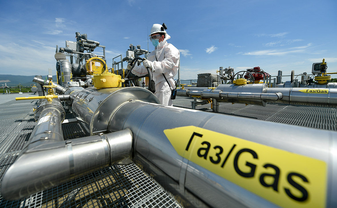 В Германии озвучили сроки обретения полной независимости от российского газа