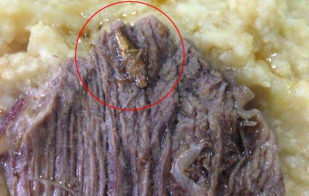 Черви, тараканы и отравление: советник президента Юрий Бирюков опубликовал шокирующие кадры солдатской пищи в одной из воинских частей Николаева