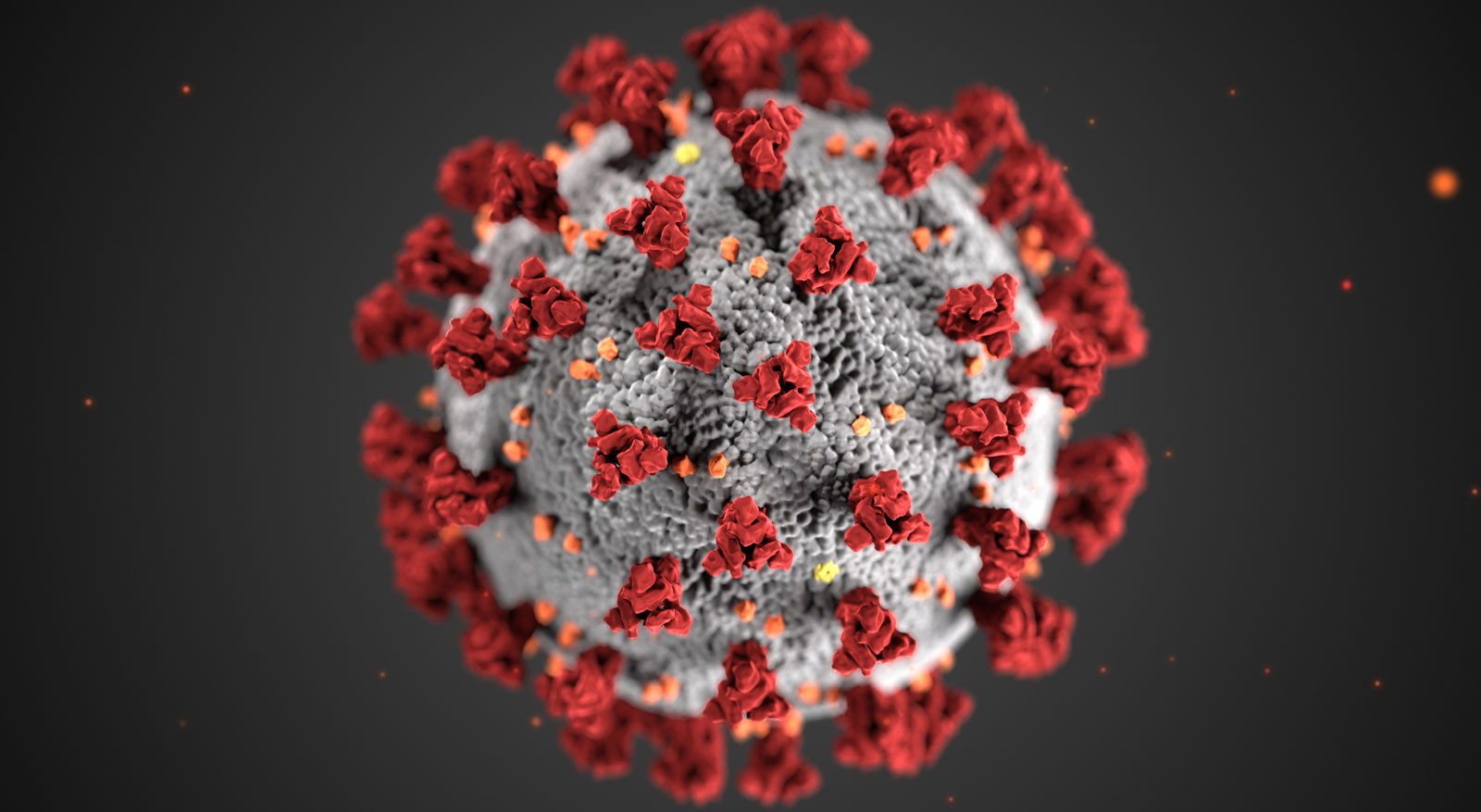 COVID-19: в США рассказали об утечке вируса в одной из китайских лабораторий