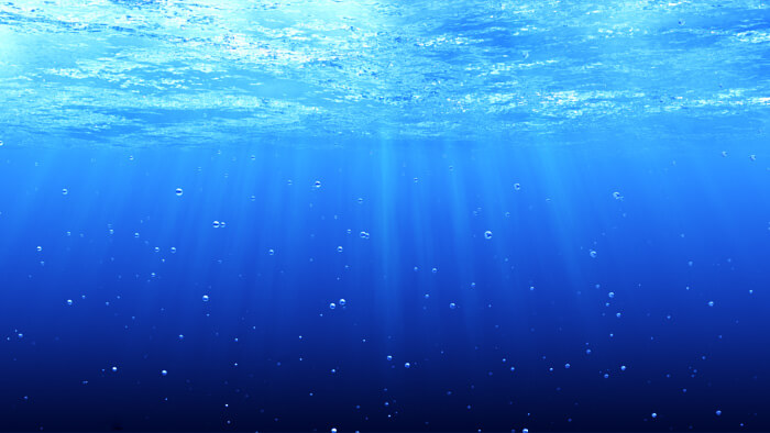 Подводный мир под угрозой вымирания - экологи бьют тревогу из-за глобального потепления