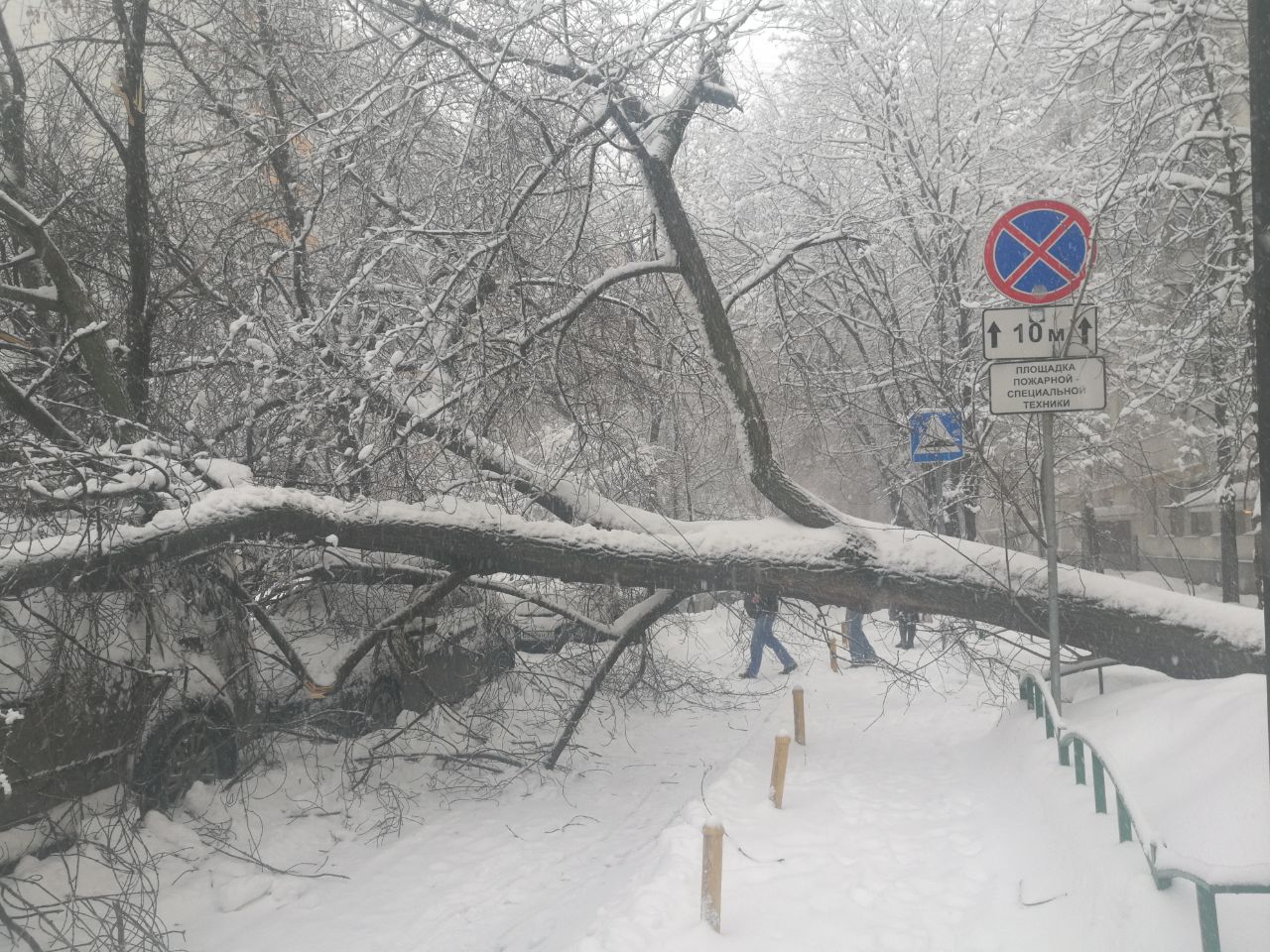Смертельный снегопад в Москве: стало известно о первых жертвах непогоды, соцсети пишут о настоящем снежном аде в городе – новые кадры