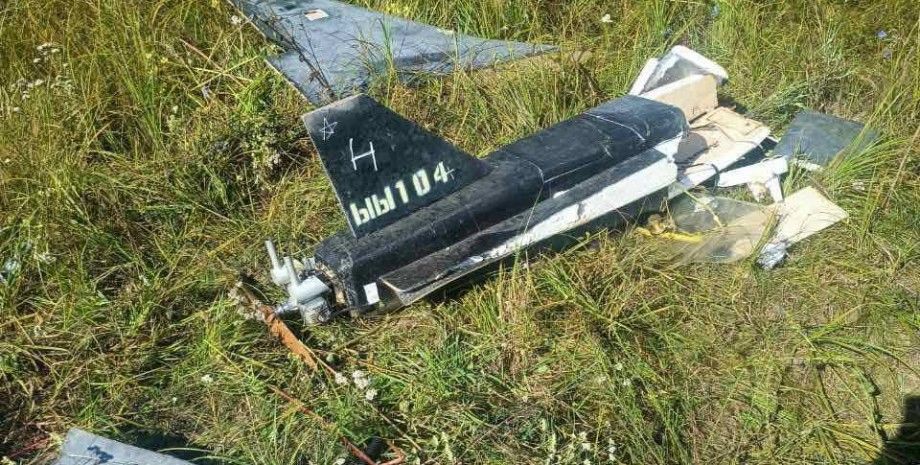 Вертолет "Ми-24" Беларуси ударил по России, сбив БПЛА "Гербера", летевший в Украину