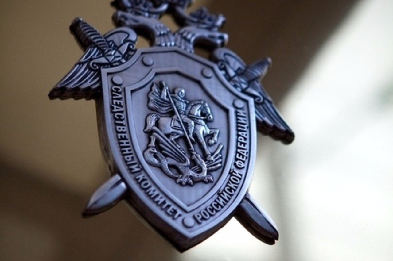 "Не стоит связываться", - российский правовед Игорь Степанов подал в суд на Путина и Шойгу