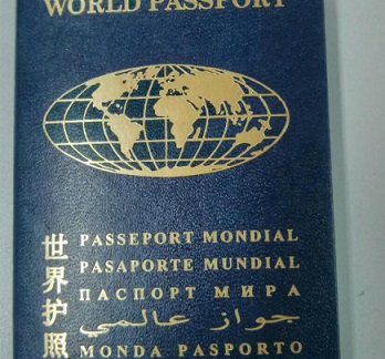 В Борисполе задержали нигерийца, который путешествовал с паспортом "гражданина мира"