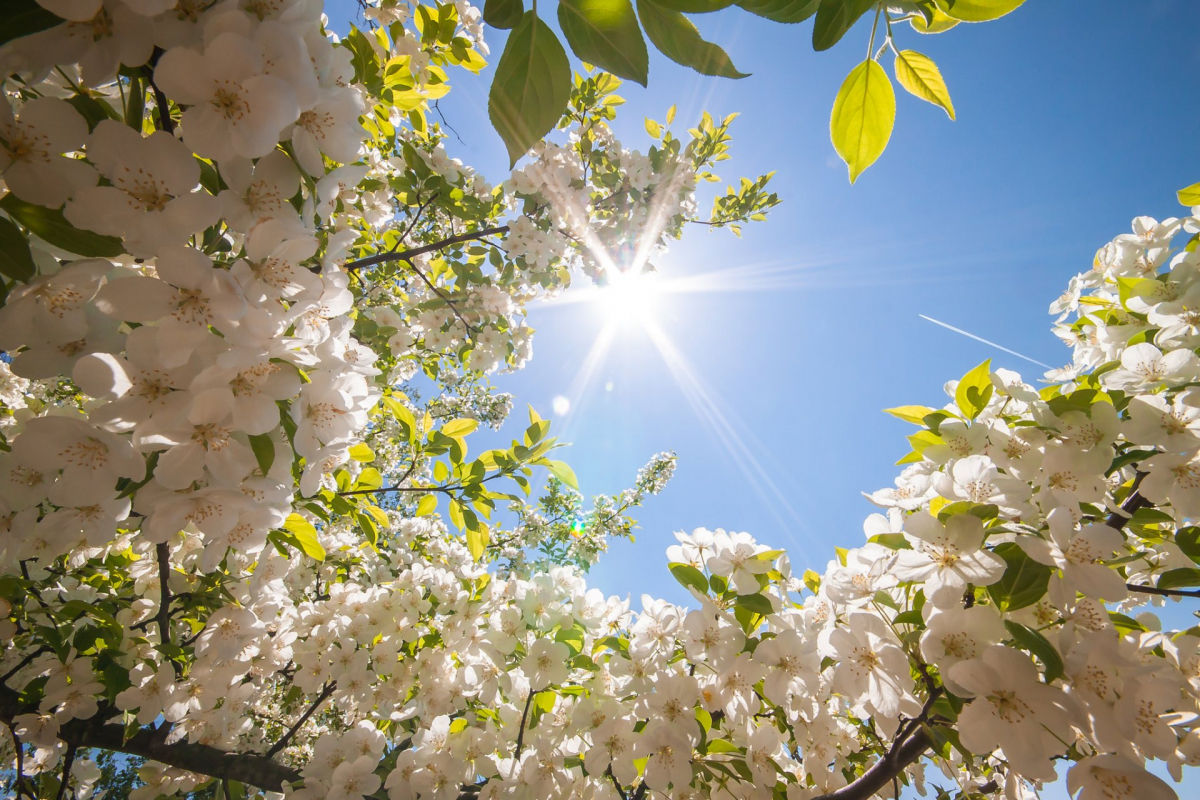 ​Летние +26°C идут в Украину: синоптики рассказали, когда начнет холодать