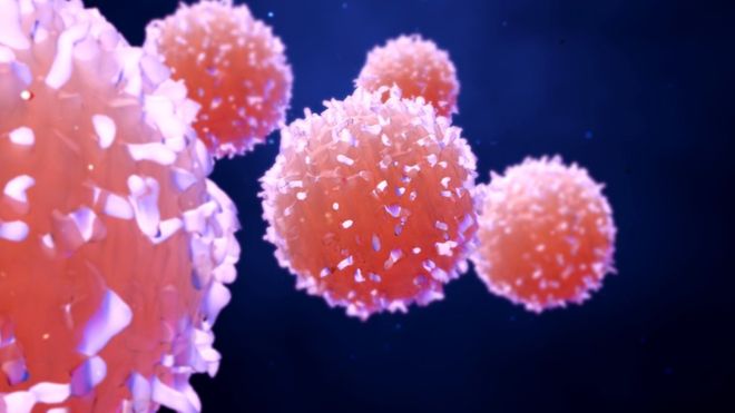 Австралийские ученые нашли способ победить рак: больные клетки погибли в течение суток