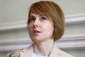 Зеркаль, Березовець, Пристайко, мід, Україна, єрмак, зеленский