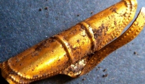 Великобритания, Англия, раскопки, археология