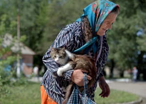 новости Украины, Донбасс, юго-восток Украины, ДНР, ЛНР, политика, Арсений Яценюк, Кабинет Министров, Наталья Королевская, Оппозиционный блок, пенсии в зоне АТО