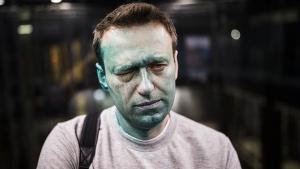 Навальный, армия России, Испания, видео, восток Украины, АТО, конфликты