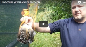 паспорт украины, макеевка, днр, видео, терроризм, сепаратист, донбасс, гражданство украины, новости украины